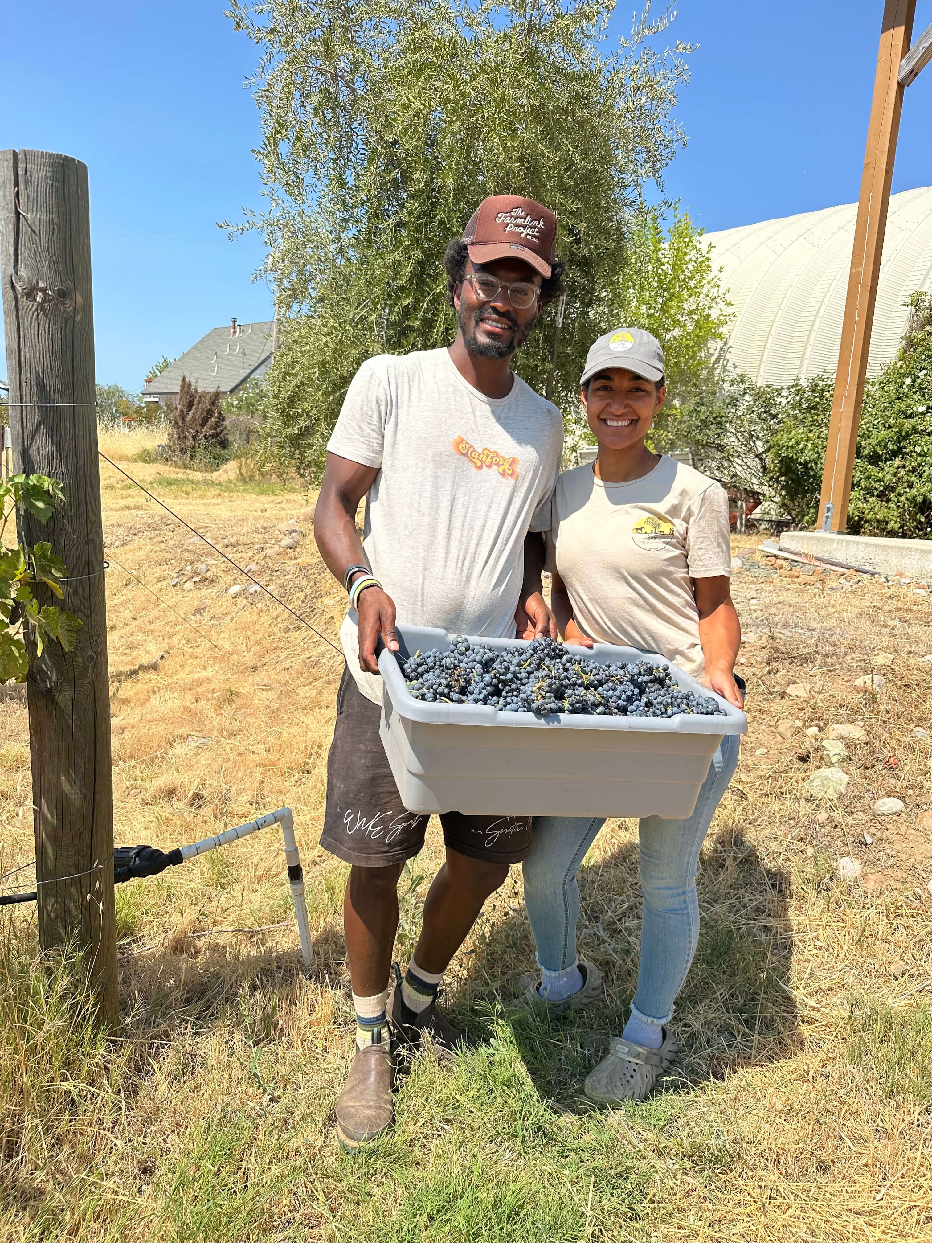 Frank and Alia holding a bin of freshly harvested grapes